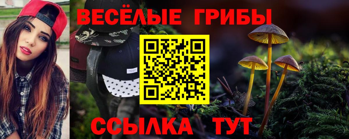 Псилоцибиновые грибы GOLDEN TEACHER  как найти наркотики  Ивантеевка  Вход с VPN 