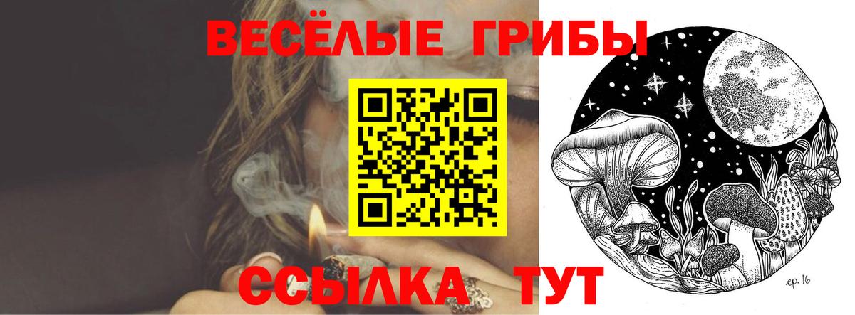 Галлюциногенные грибы Psilocybine cubensis Ивантеевка